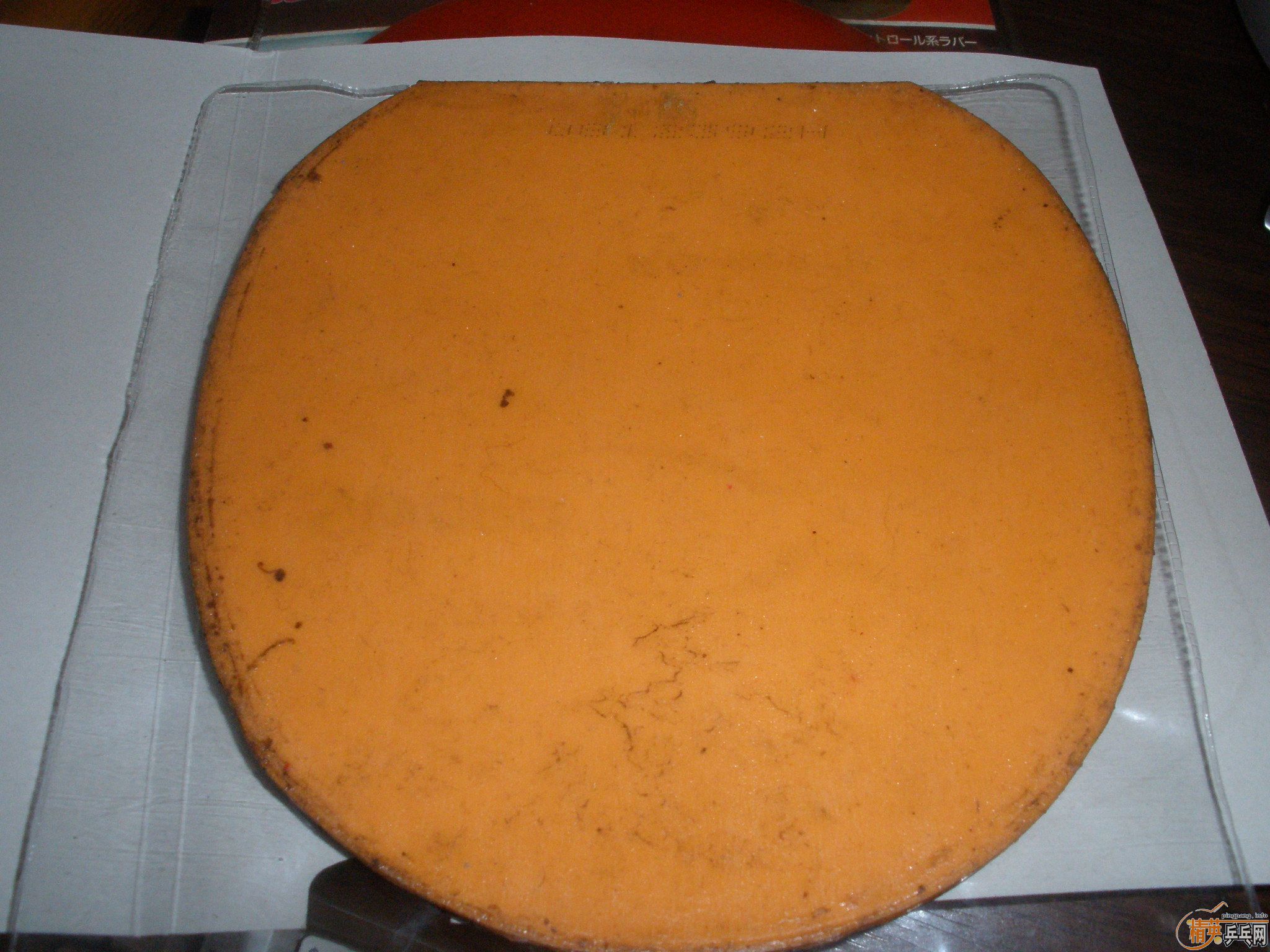 �����ź��µĹ��ף�����