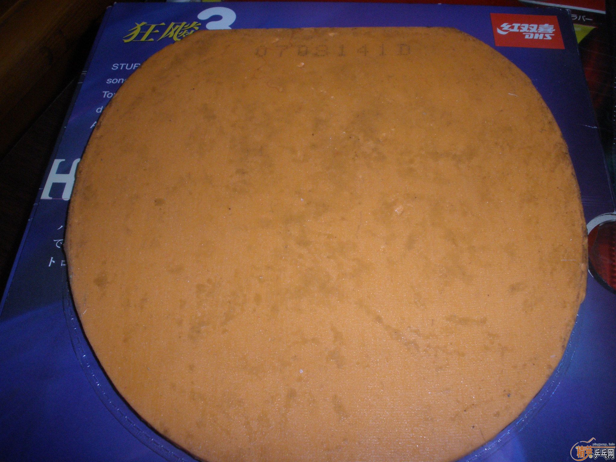 �����ź��µĹ��ף�����