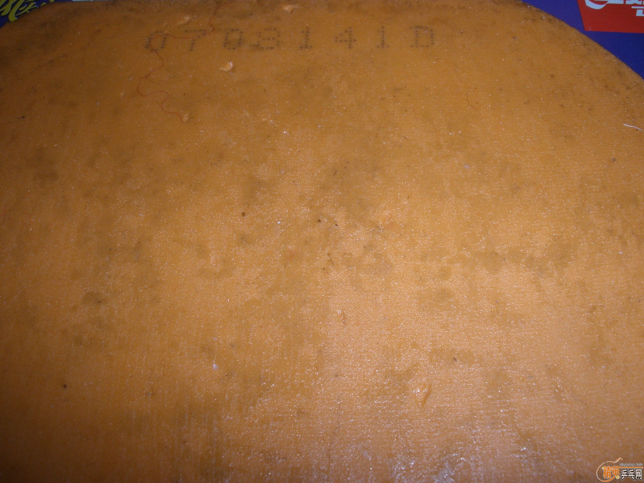 �����ź��µĹ��ף�����