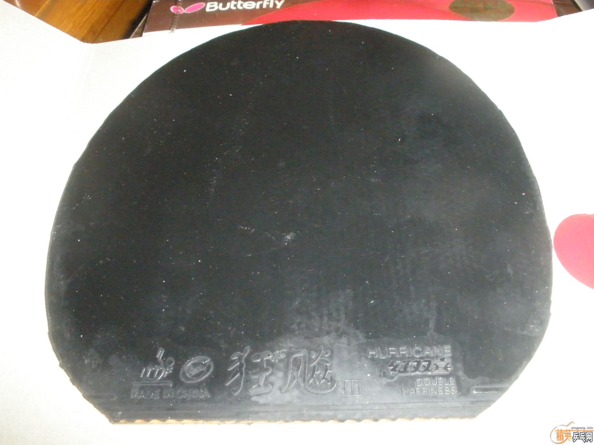 �����ź��µĹ��ף�����