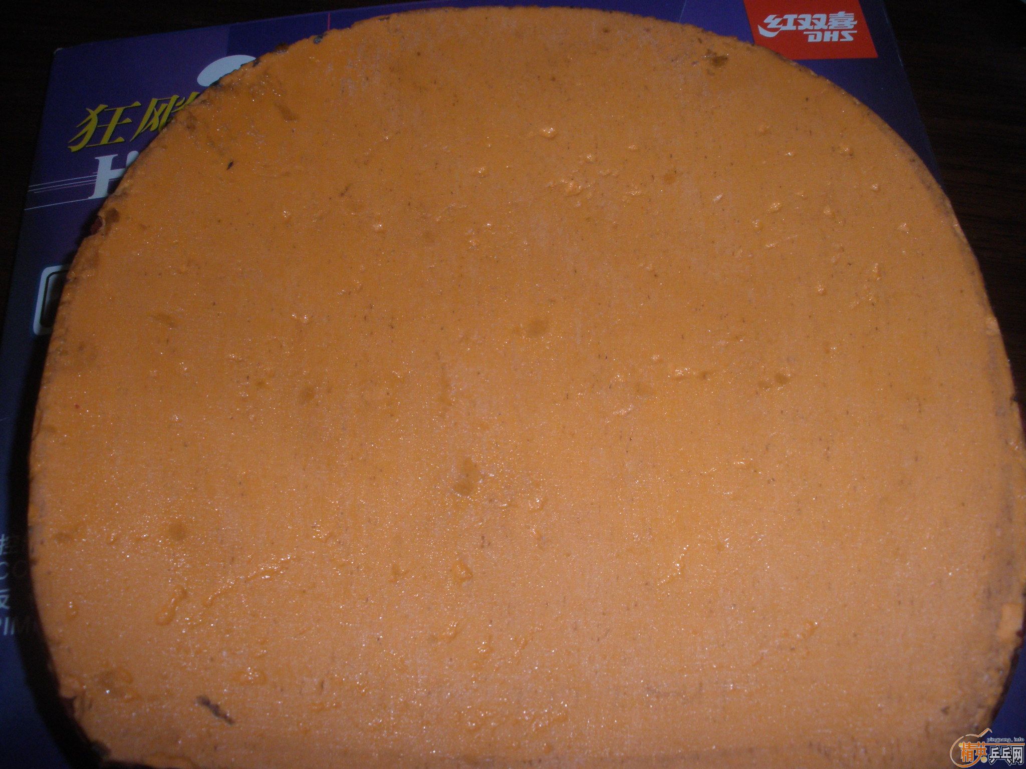 �����ź��µĹ��ף�����