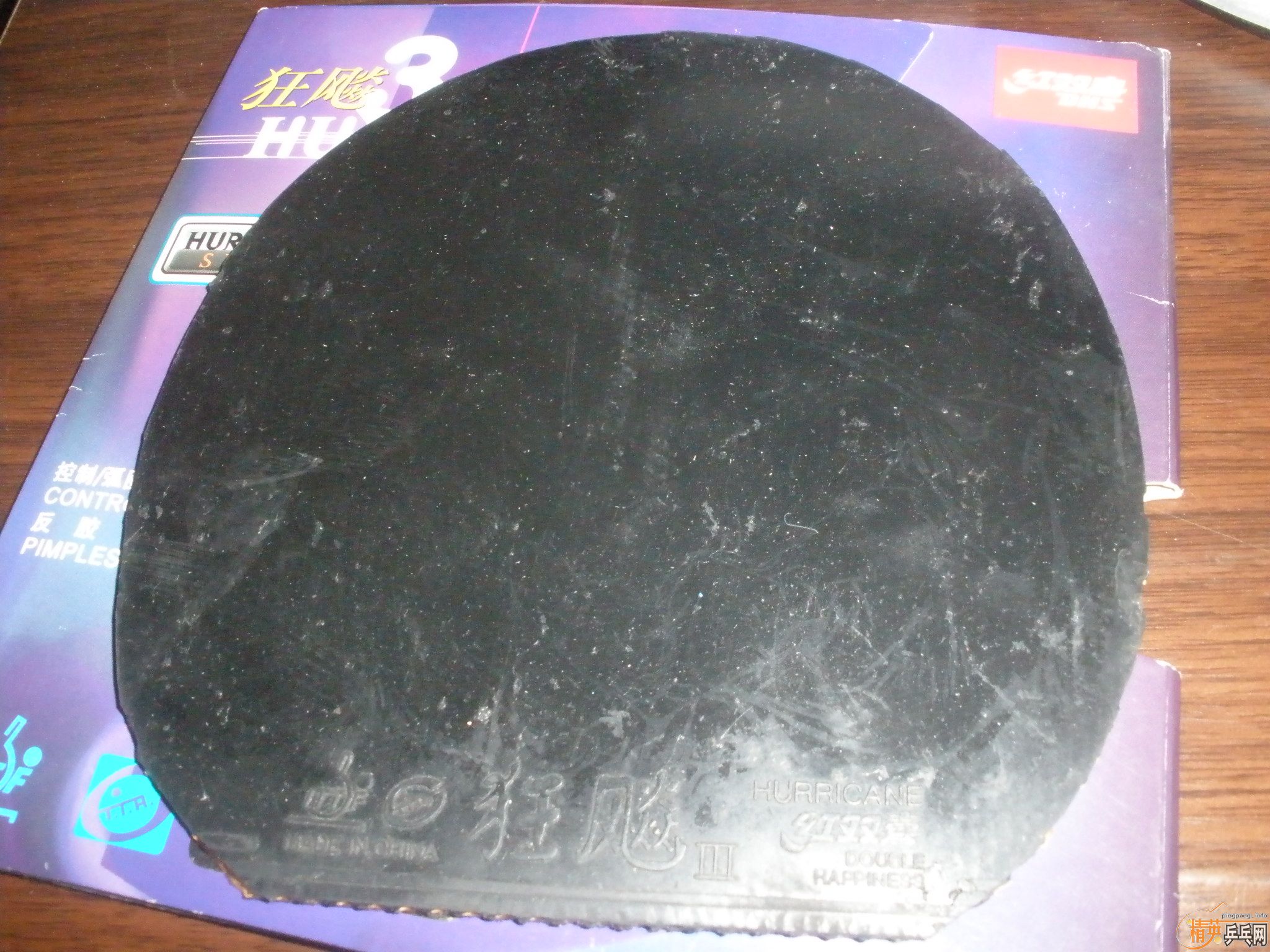 �����ź��µĹ��ף�����