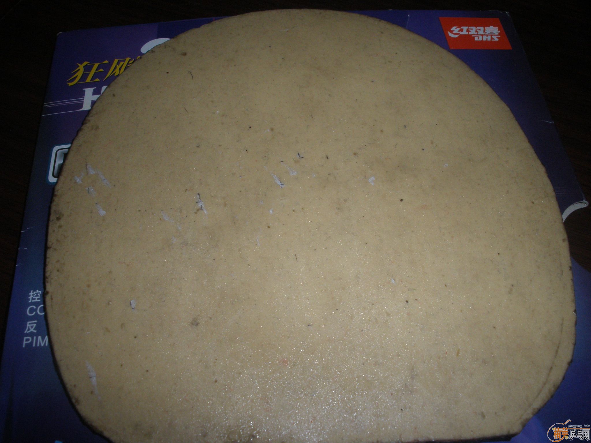 �����ź��µĹ��ף�����