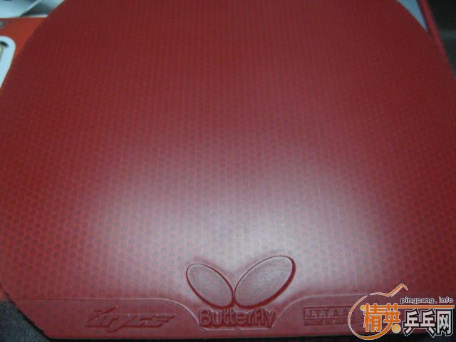 ��9.5���հ����÷�ȷ�̼ST 9.5�´�ͣ�9.5���տ�3