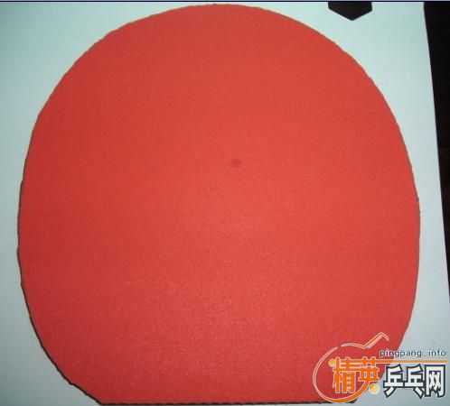 ������������T05