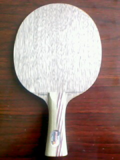 �л���5.4  ����