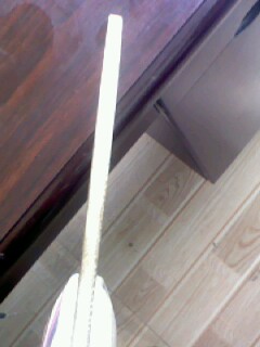 �л���5.4  ����