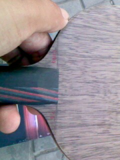 �л���5.4  ����