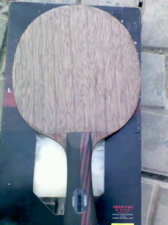 �л���5.4  ����