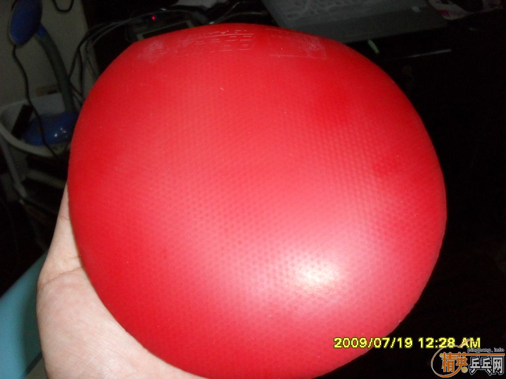 ������JO �׽�