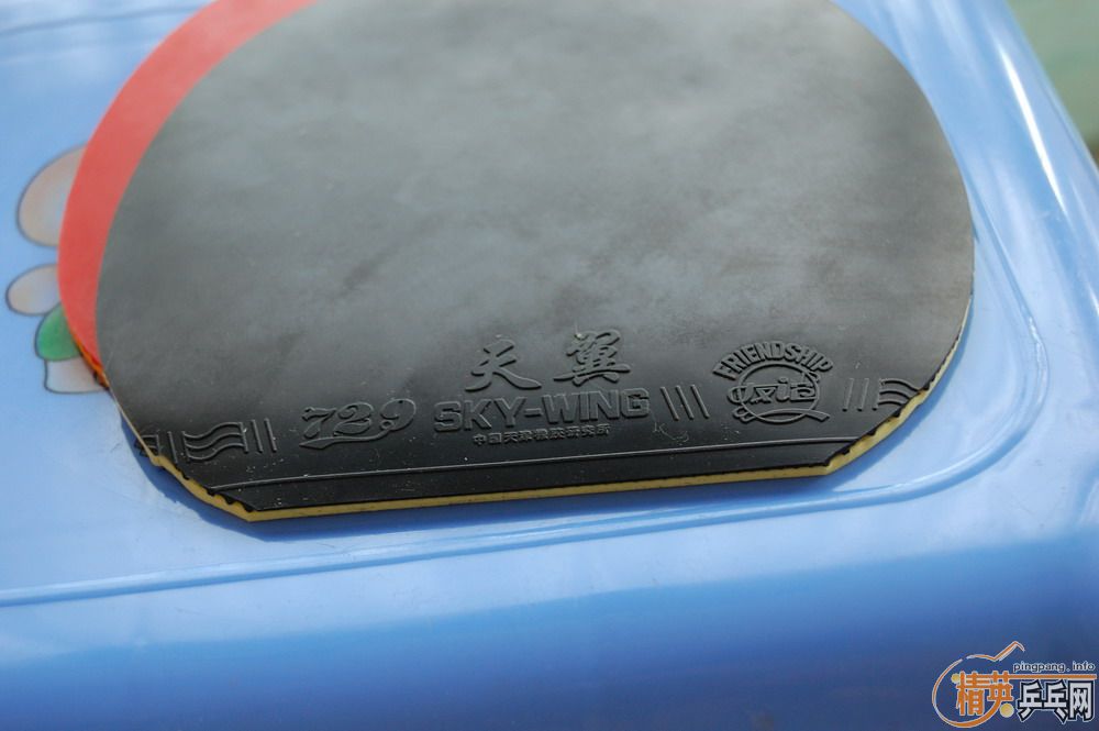 ��������ε�ŷ��TO��ʡ��39���������׽�Ƥ