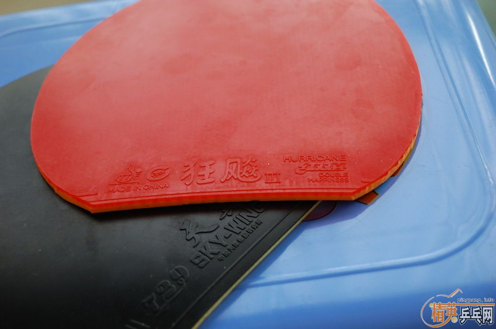 ��������ε�ŷ��TO��ʡ��39���������׽�Ƥ