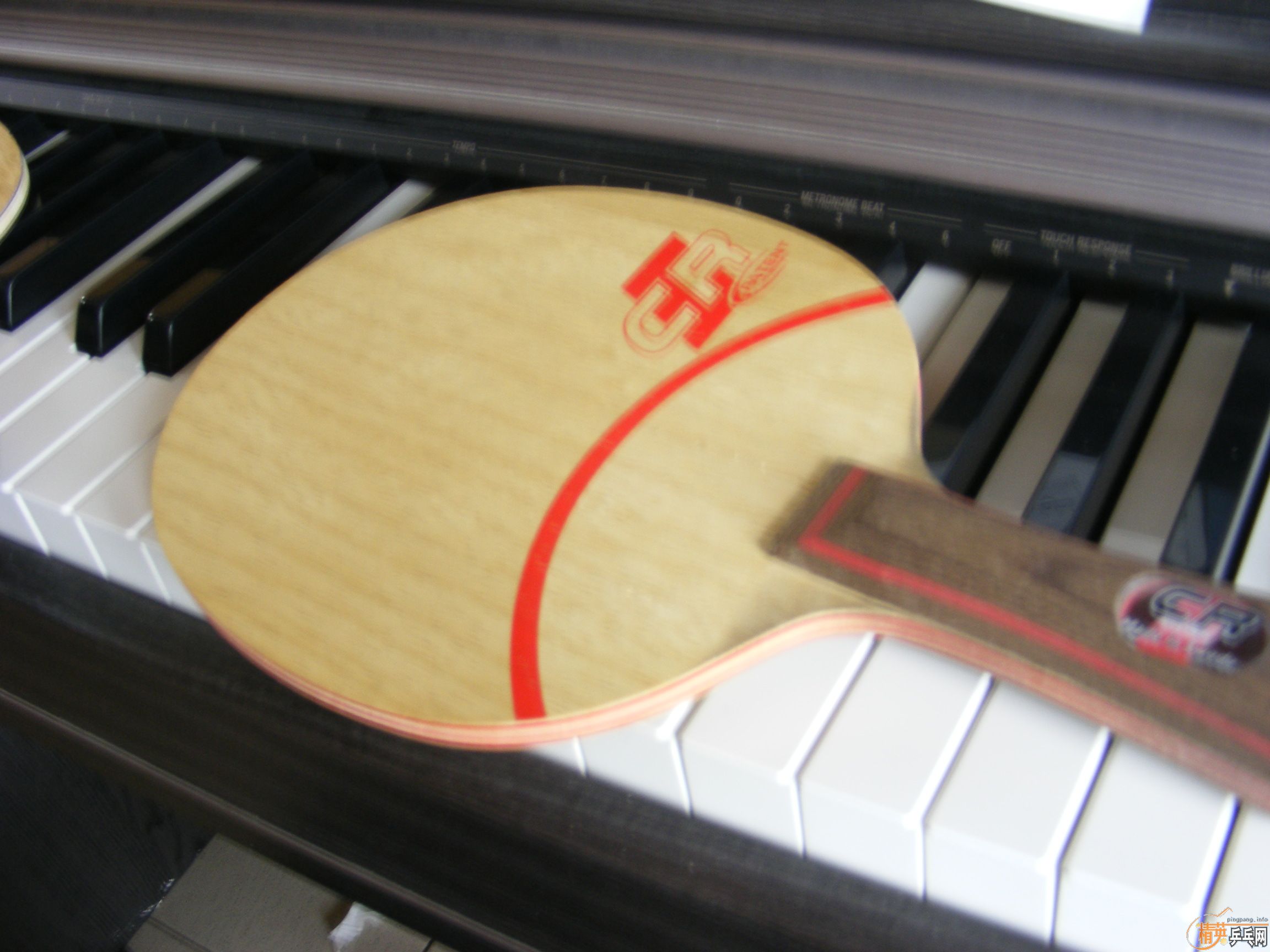 ������EG,CL CR WRB,ANDRO 500PRO~��֧��֧������