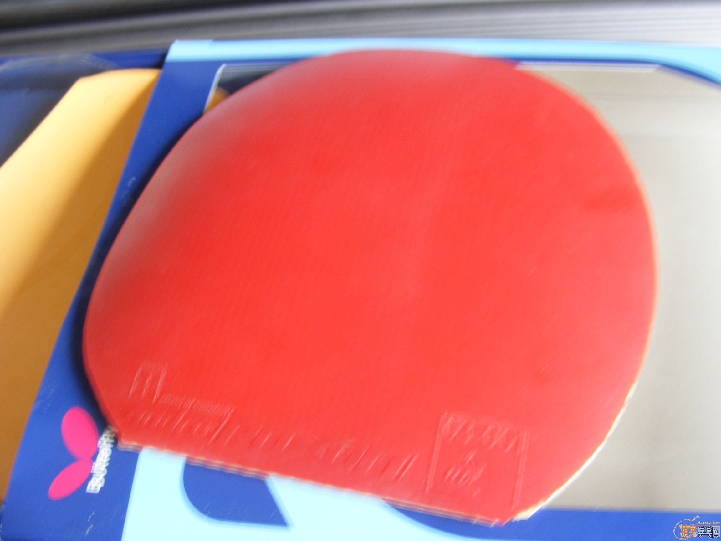 ������EG,CL CR WRB,ANDRO 500PRO~��֧��֧������