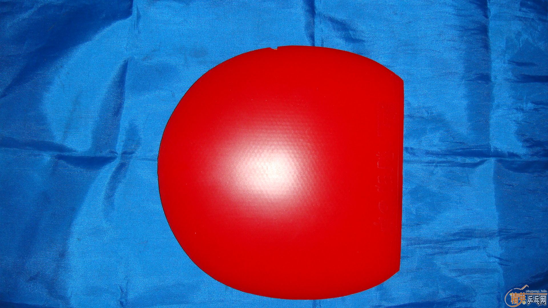 �������̼�صװ�