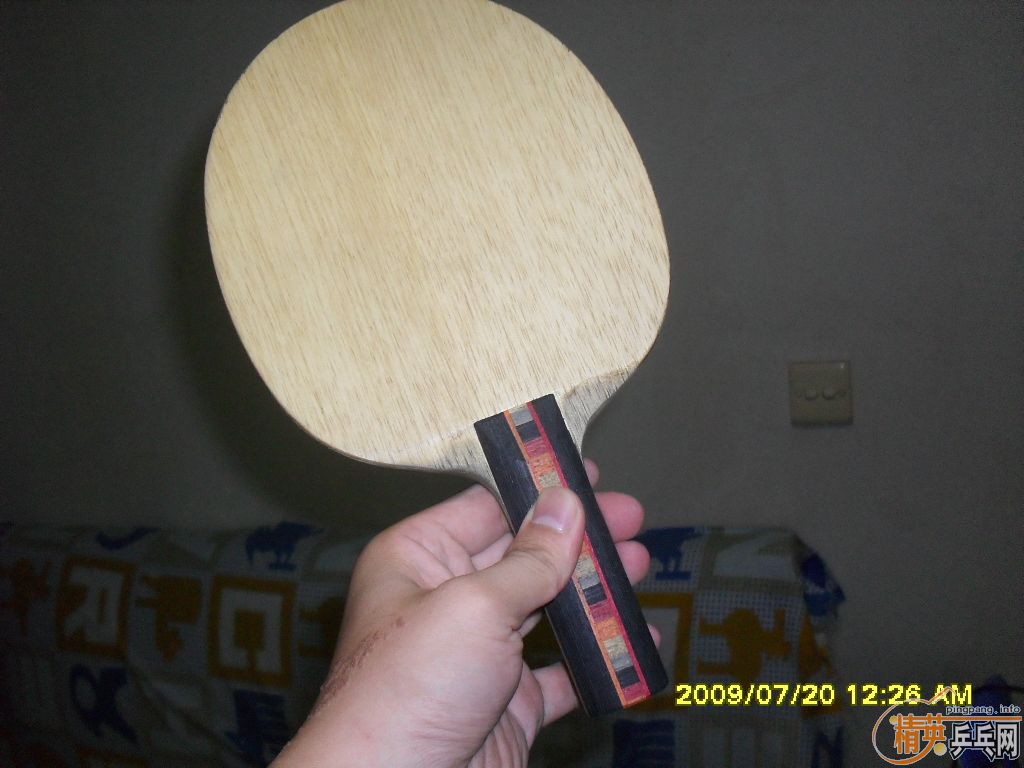 ���ԵĶ������ˣ�����̼ST��DONIC ��ľ ST