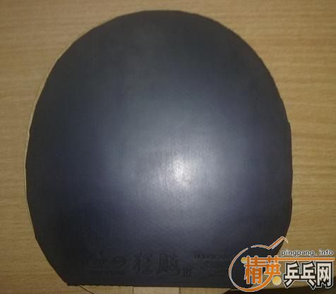 9.5����ʡ��9.9����f1