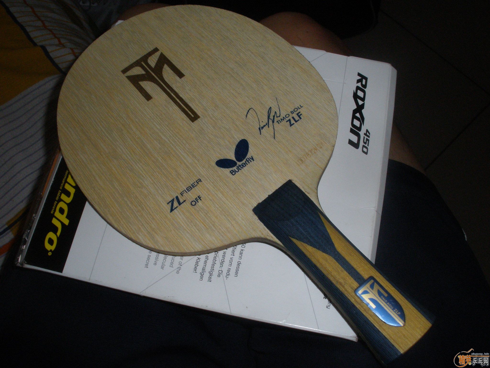 ����ZLF��ʼ��ඣ�����