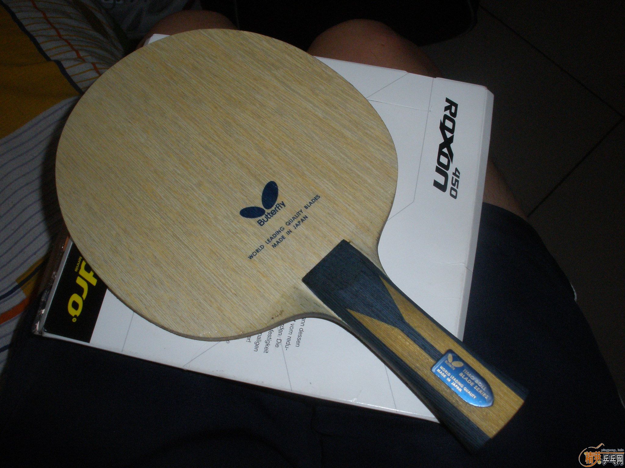 ����ZLF��ʼ��ඣ�����