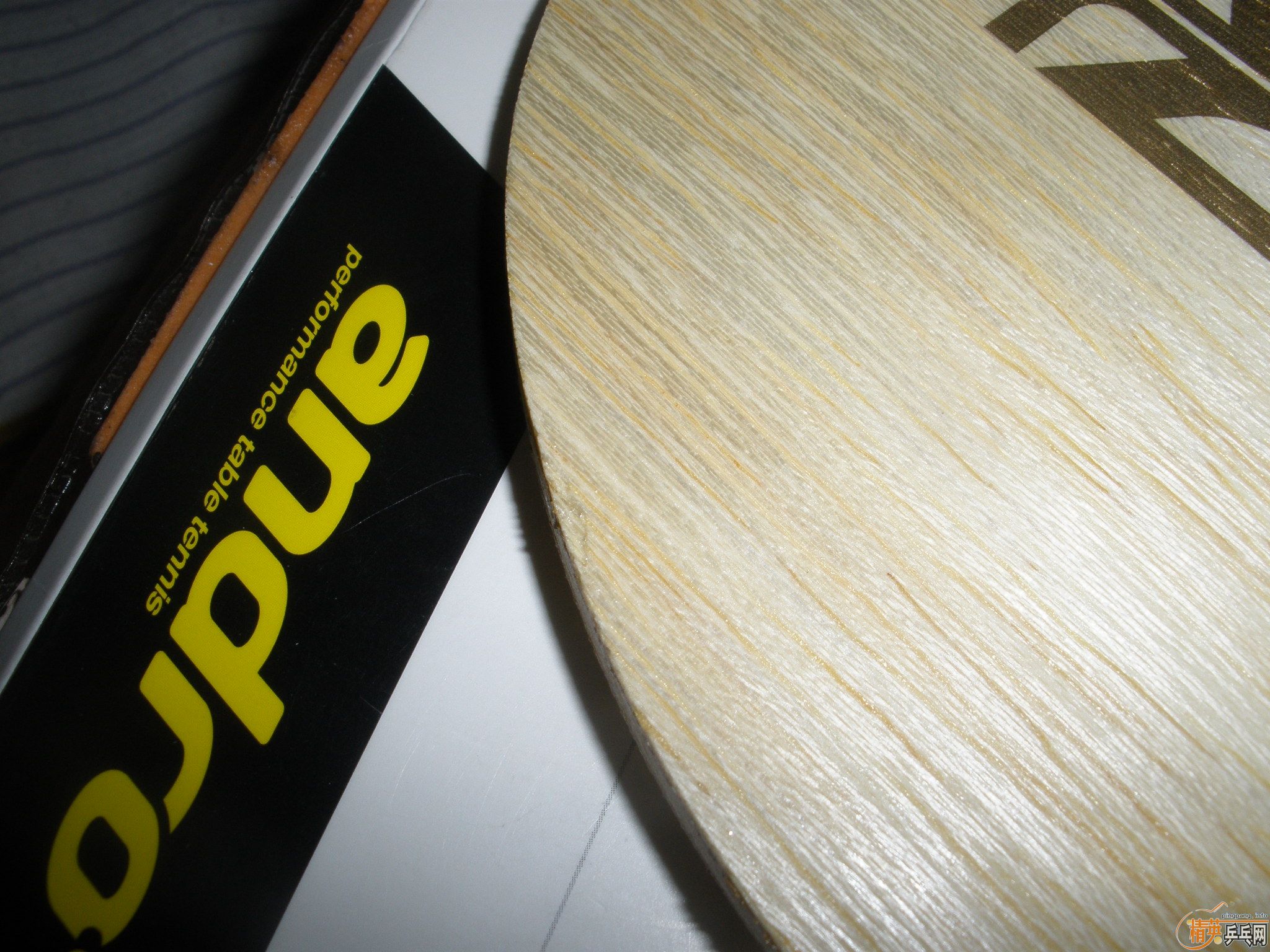 ����ZLF��ʼ��ඣ�����