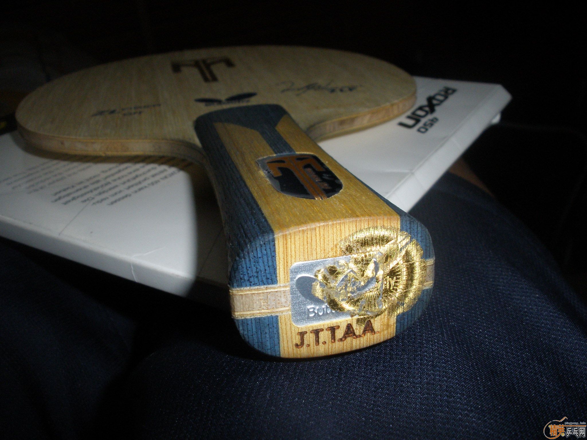 ����ZLF��ʼ��ඣ�����