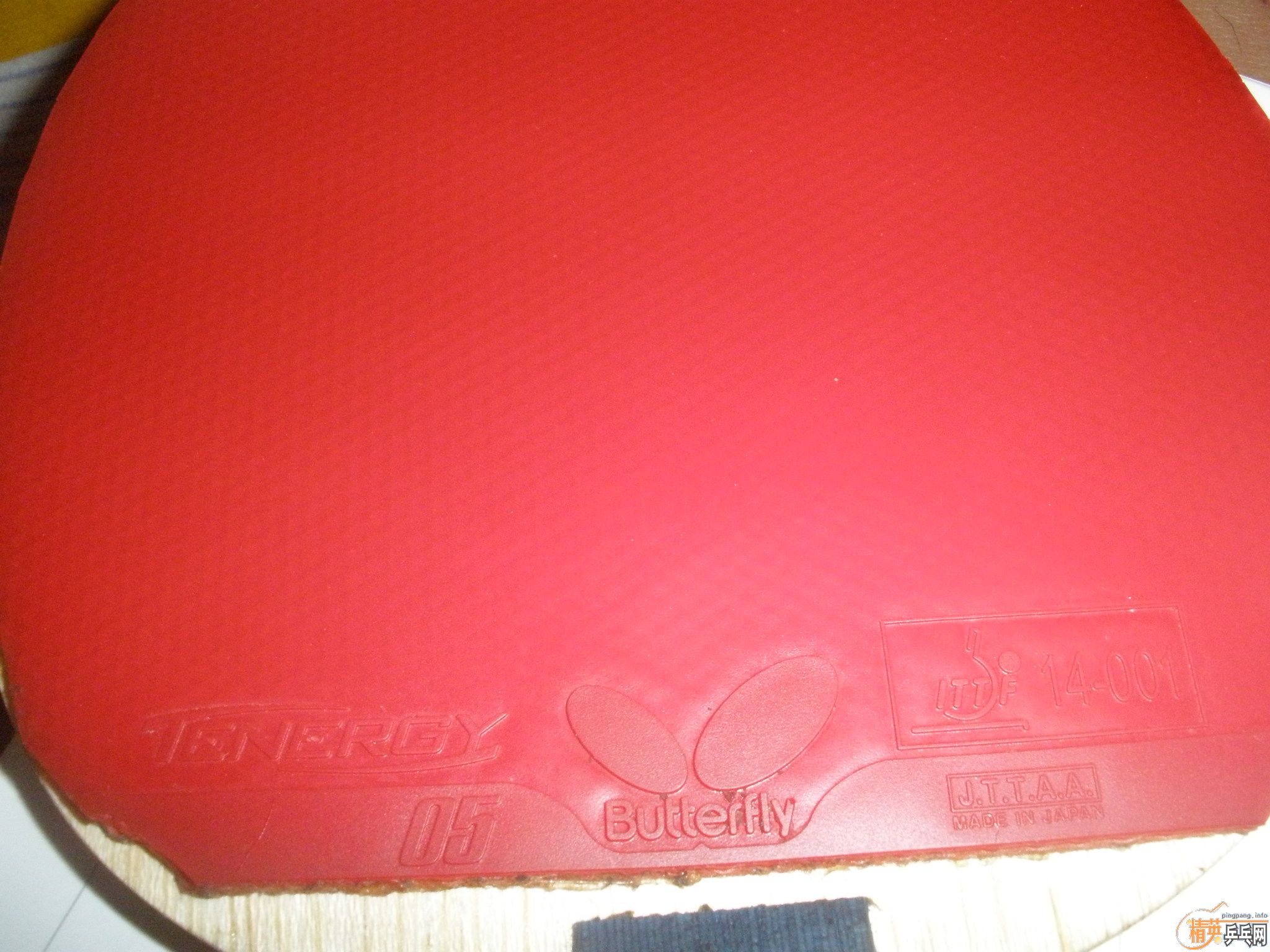 �������ձ��׽�����