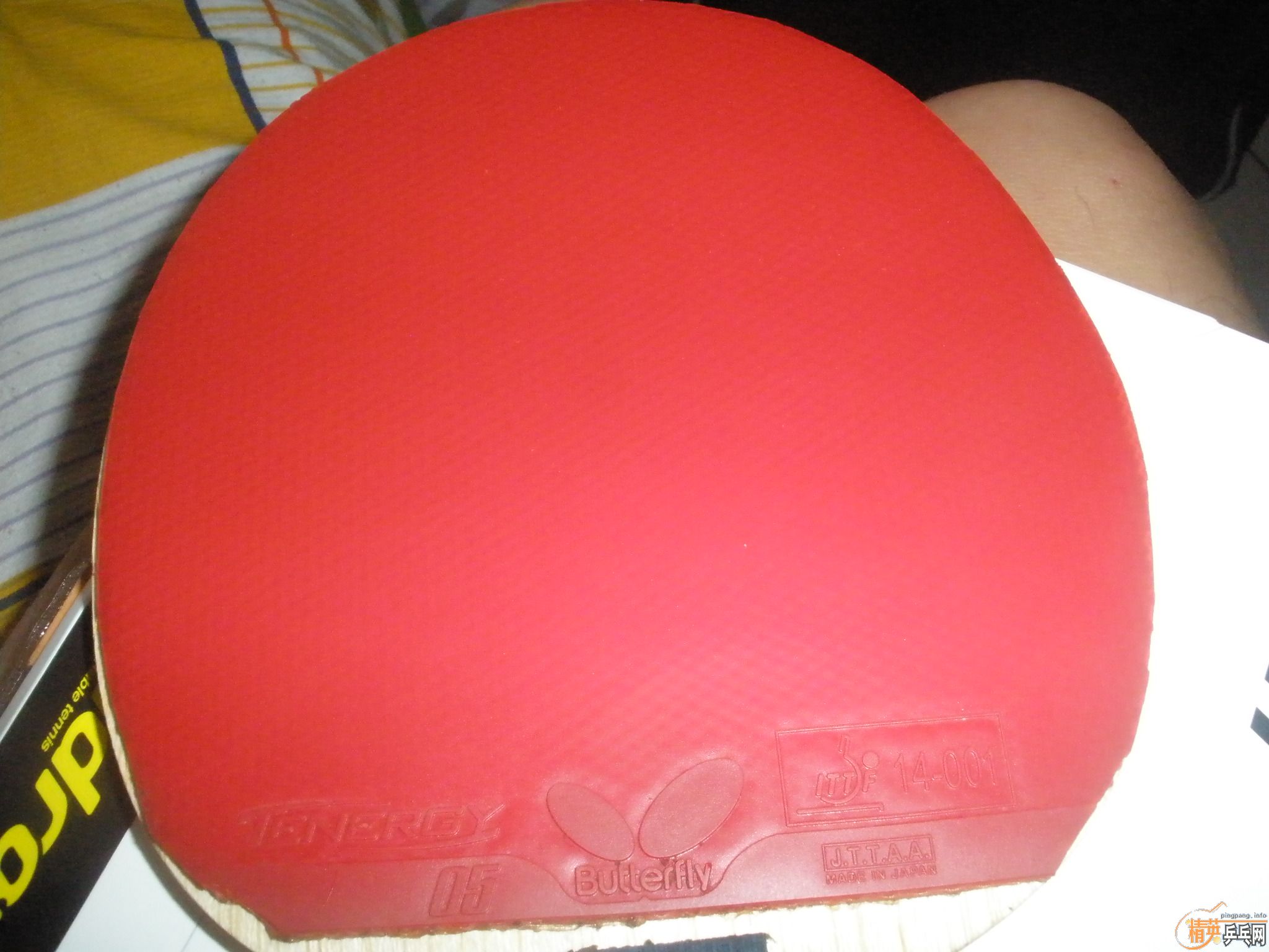 �������ձ��׽�����