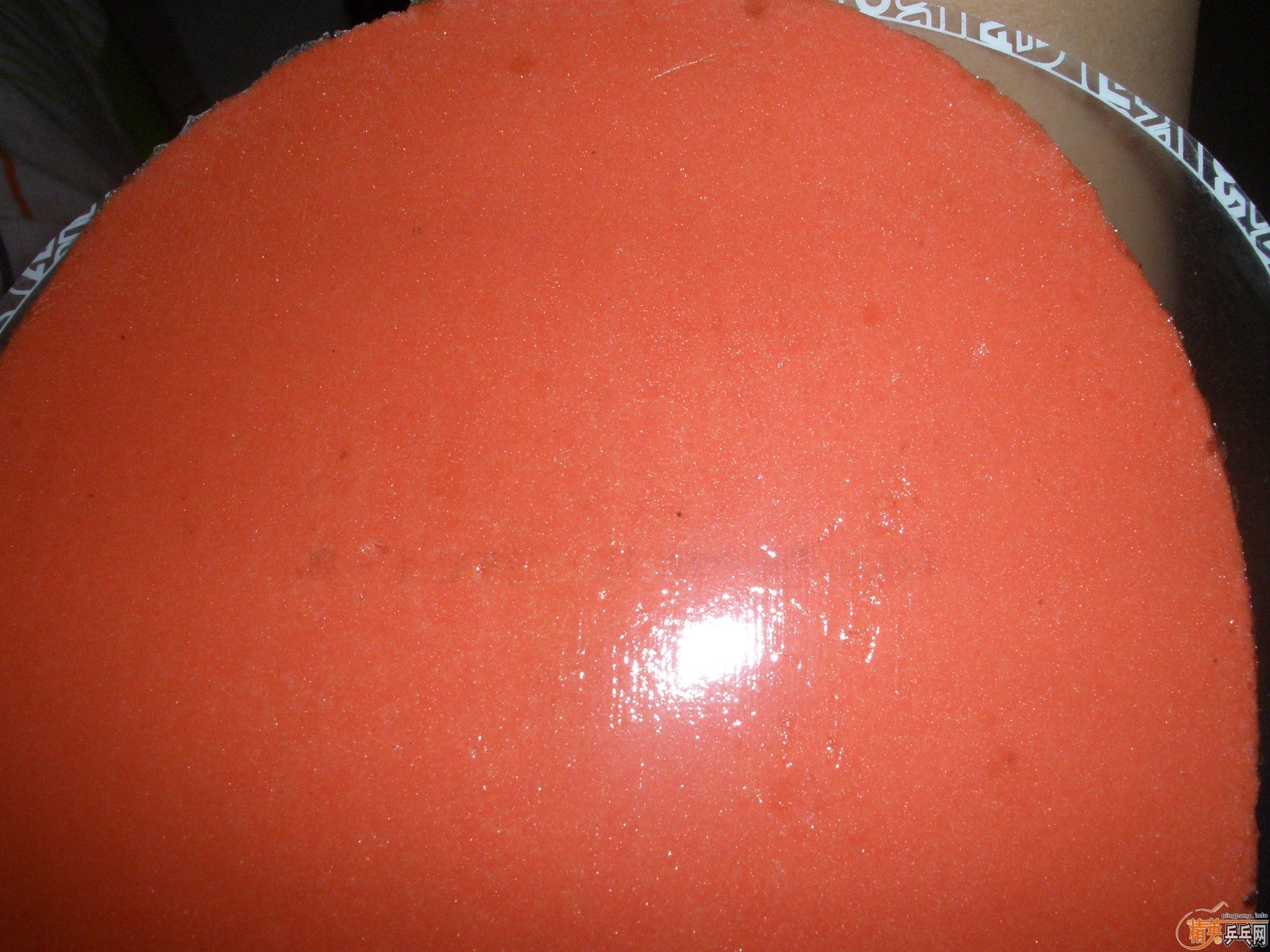 �������ձ��׽�����