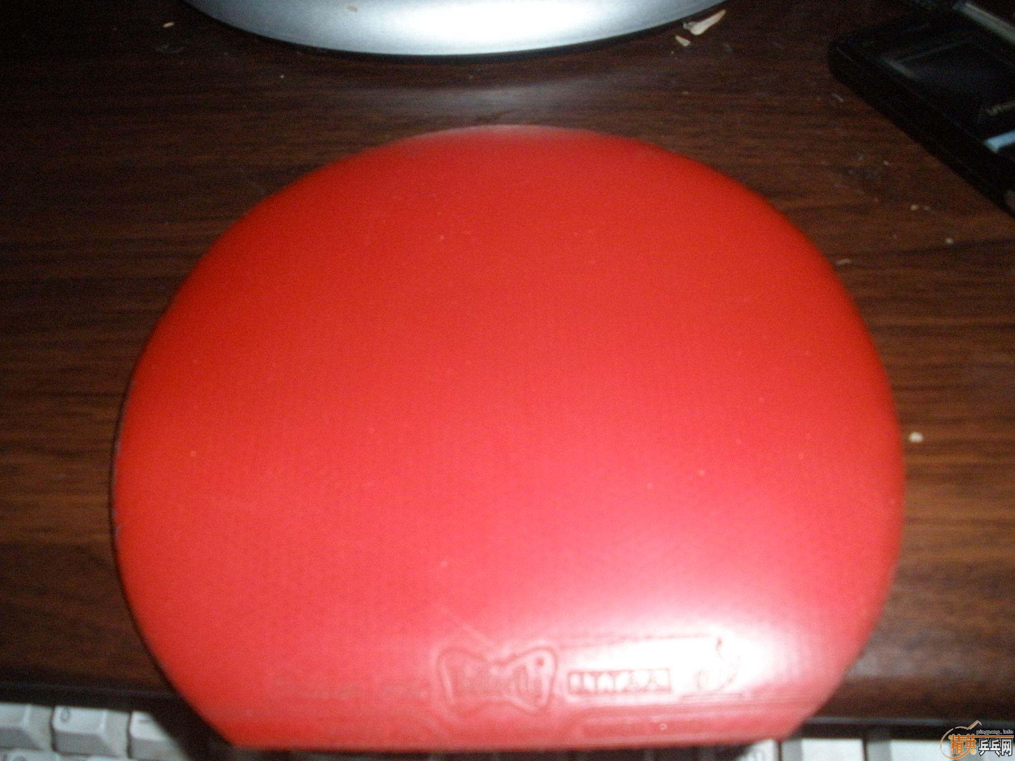 �������ձ��׽�����