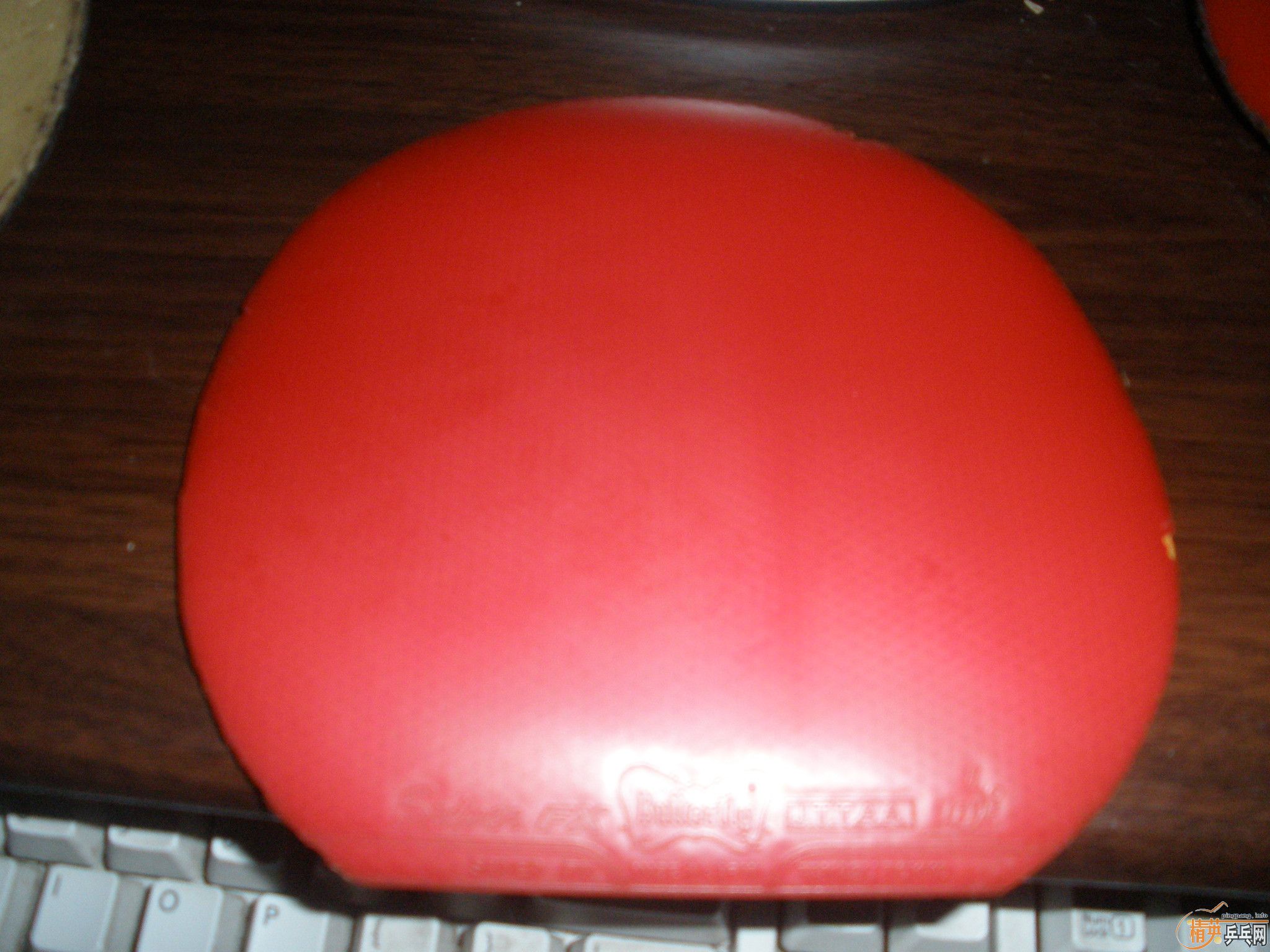 �������ձ��׽�����