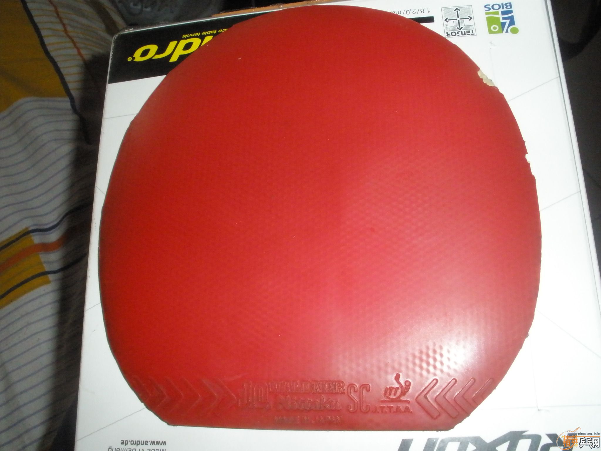 �������ձ��׽�����