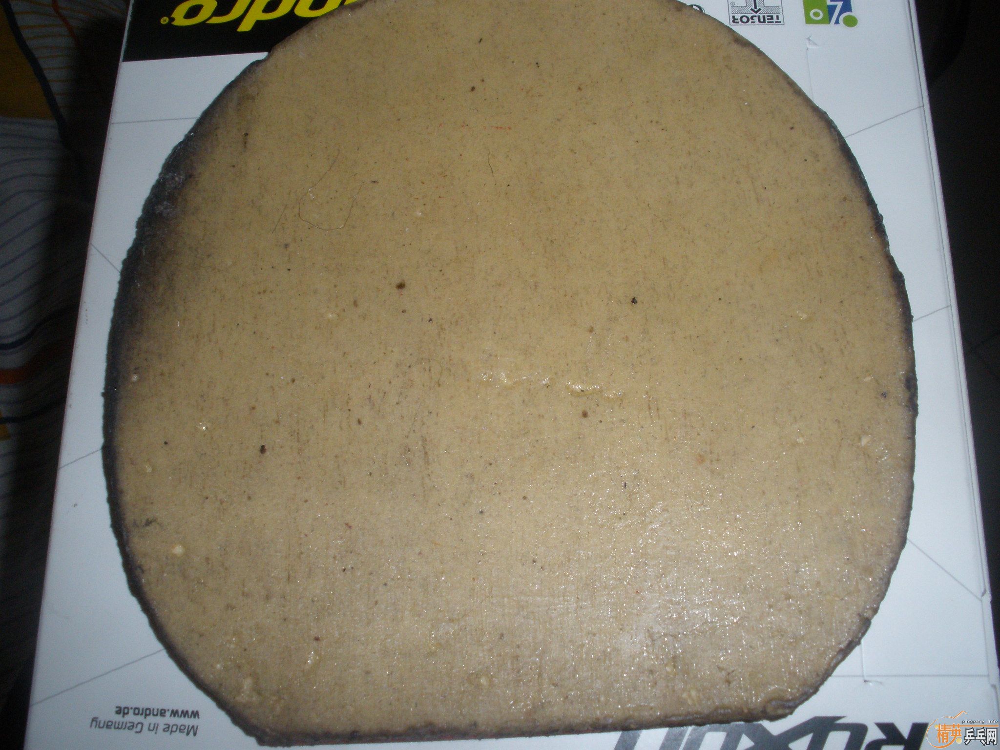 �������ձ��׽�����