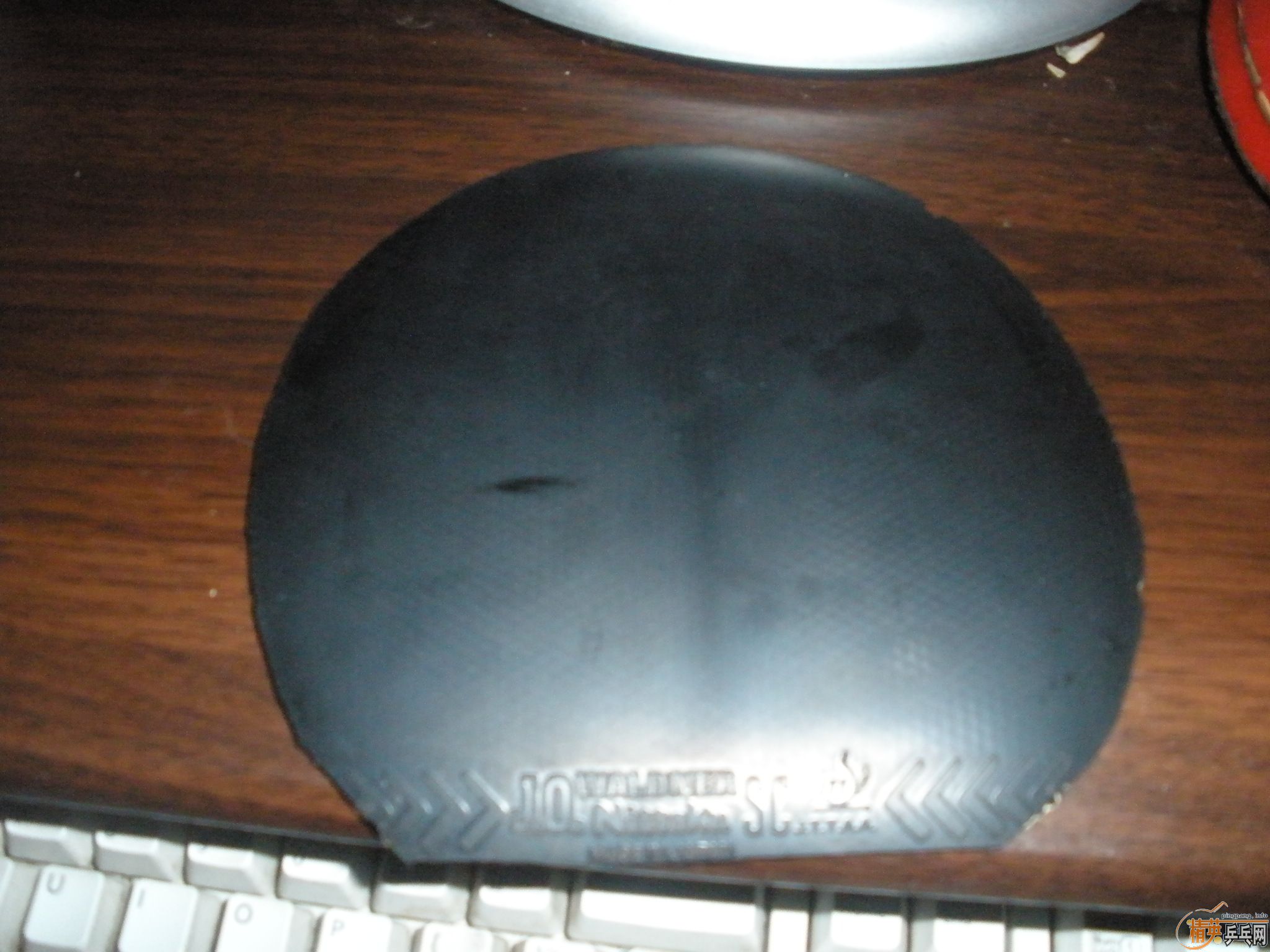 �������ձ��׽�����