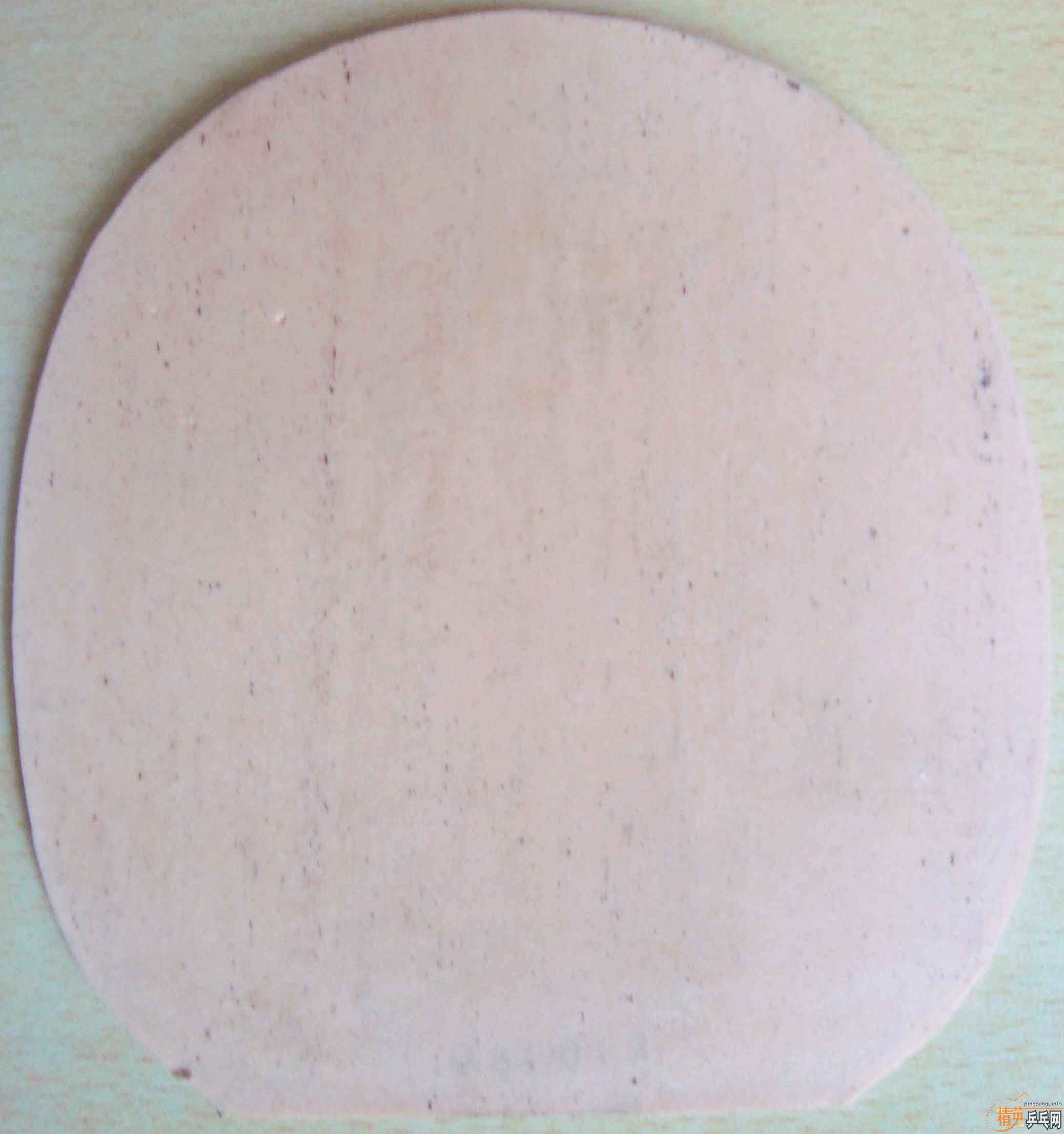 ��֧��֧�����������µ�����ֱ��ͺ��ר���׽�