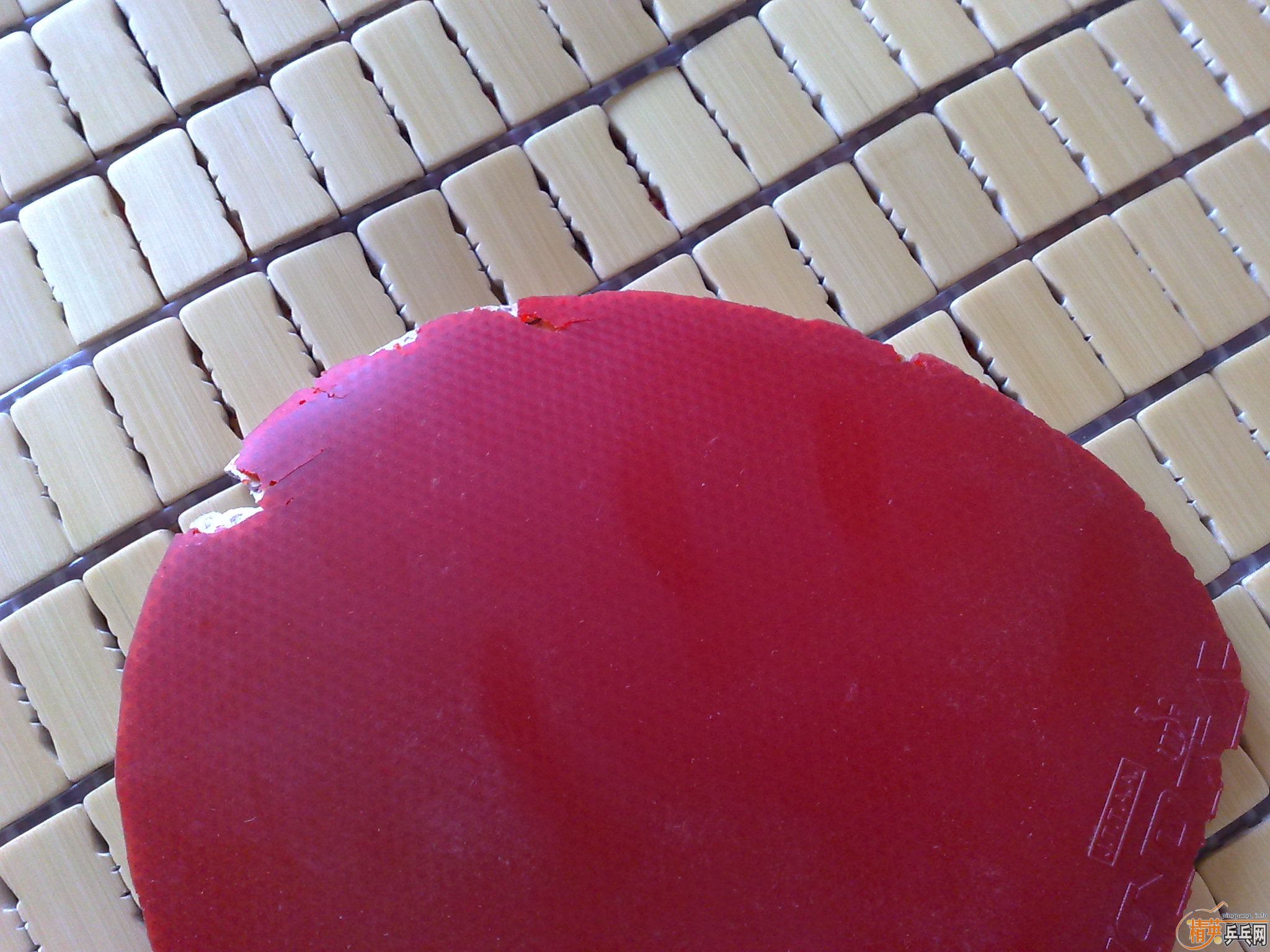 ���˳�4����Ƥ-2�������أ�һ��F1-HS��һ���տ�