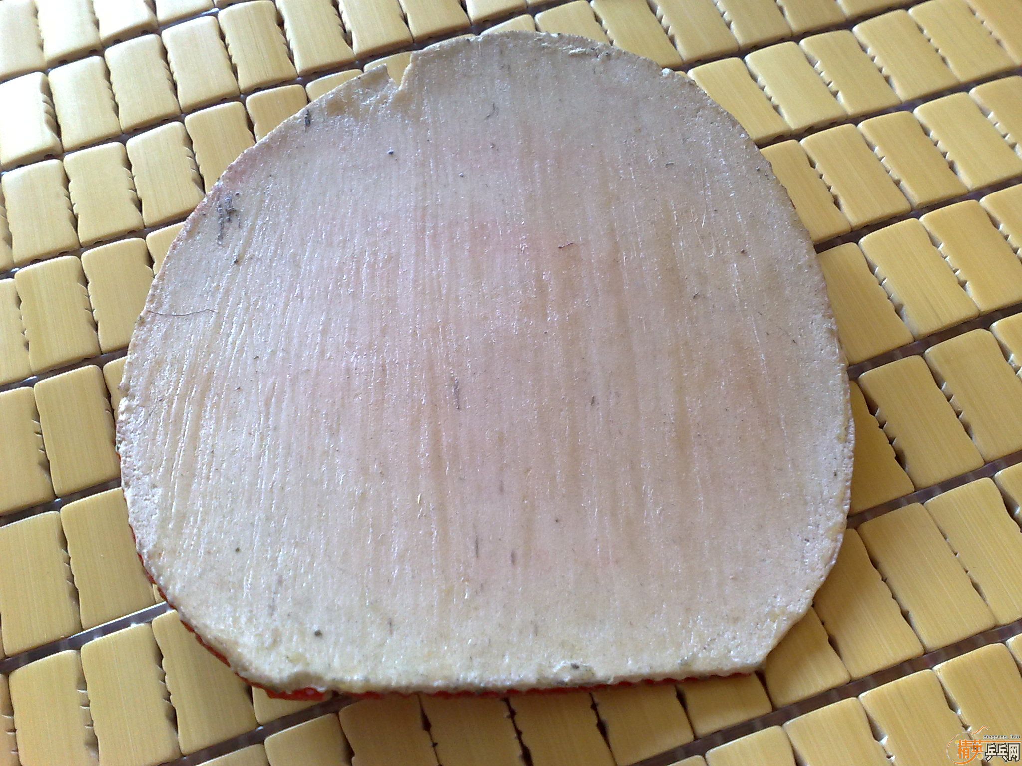 ���˳�4����Ƥ-2�������أ�һ��F1-HS��һ���տ�