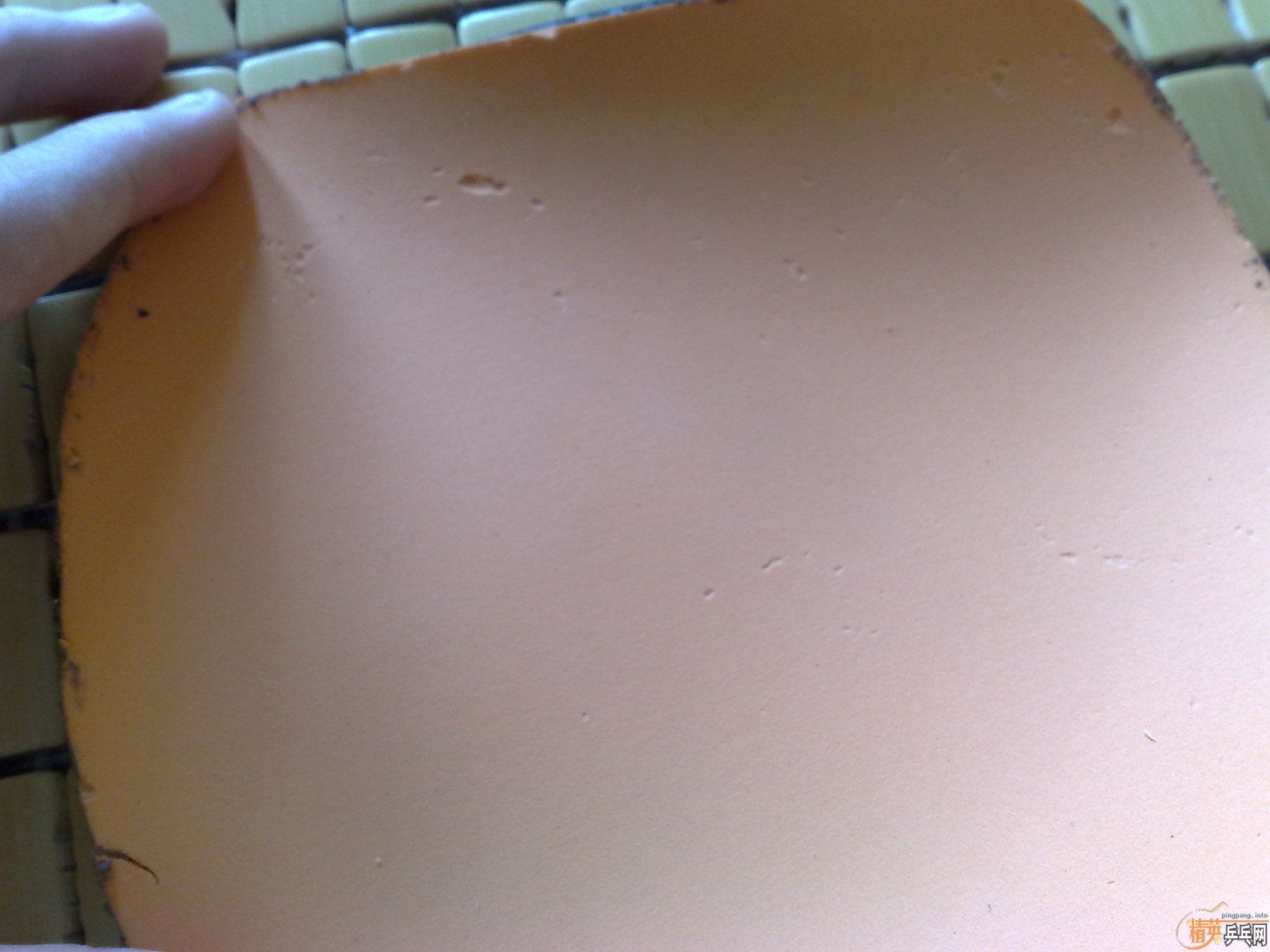 ���˳�4����Ƥ-2�������أ�һ��F1-HS��һ���տ�