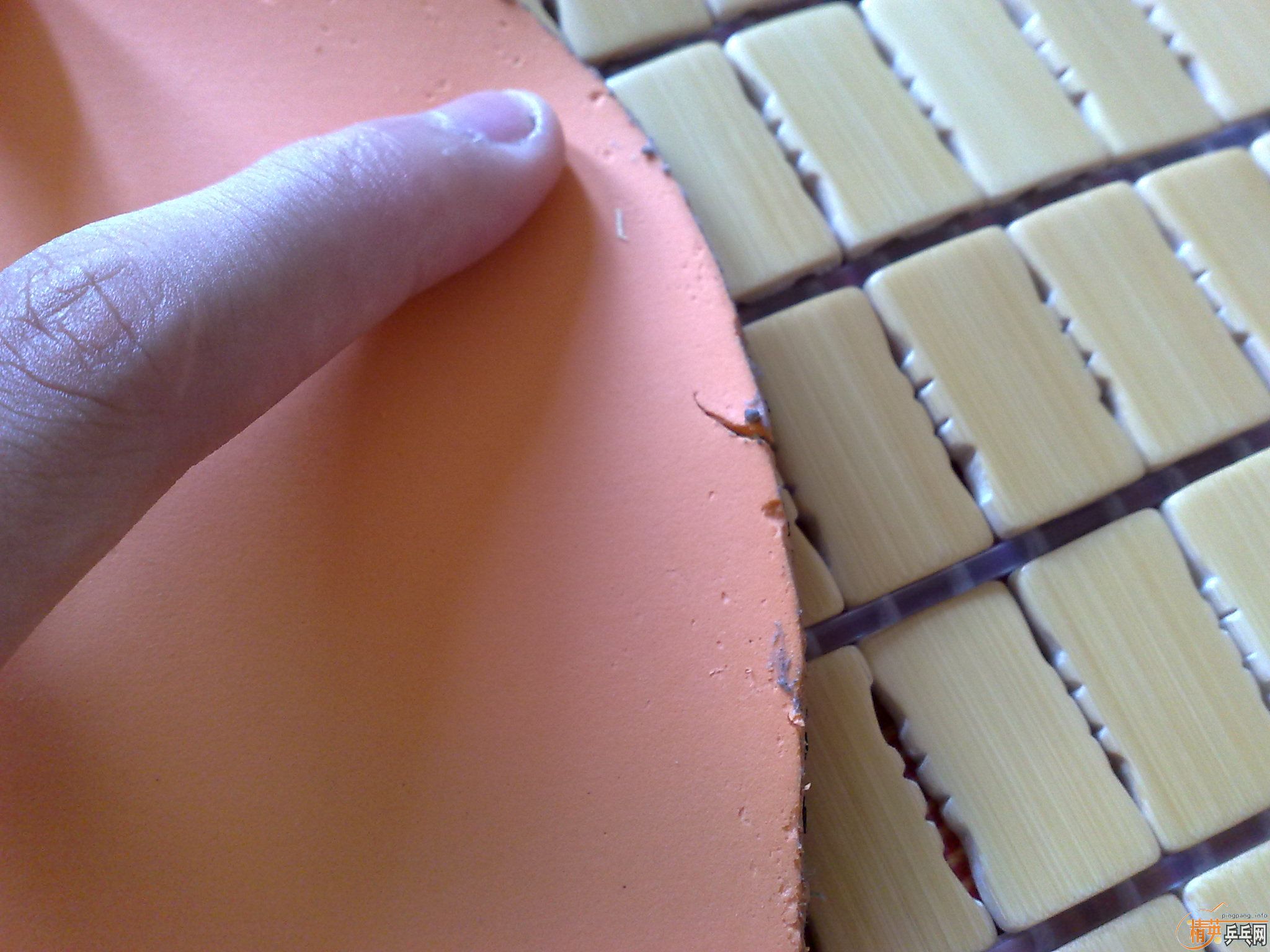 ���˳�4����Ƥ-2�������أ�һ��F1-HS��һ���տ�