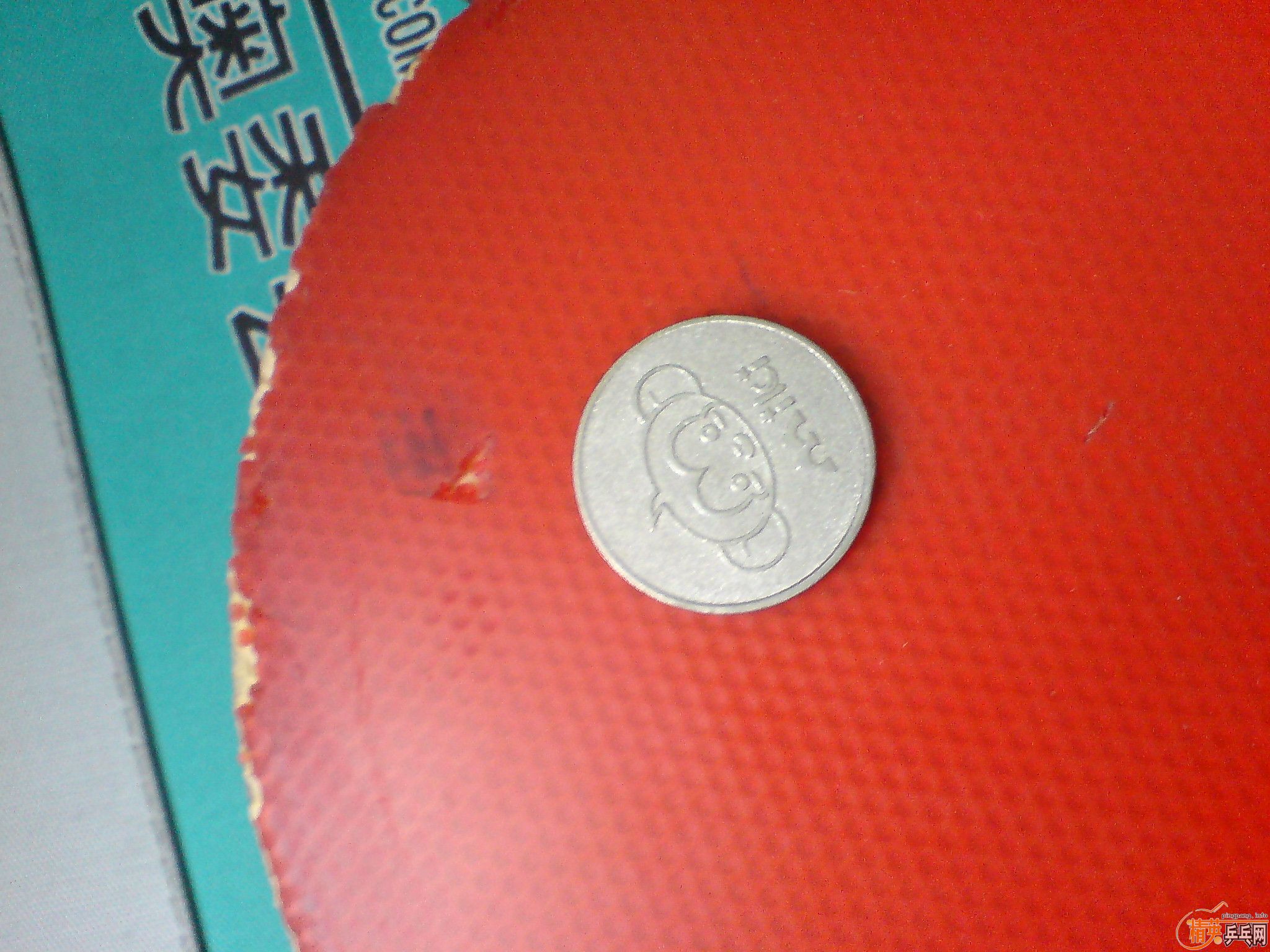 ��ɫ8�����˴��