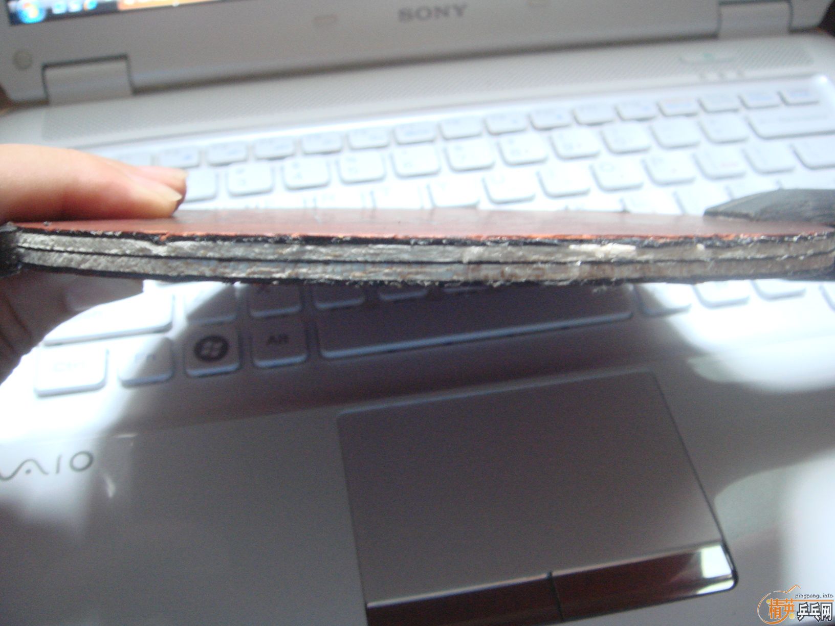 �ܱ�����BOLL��̼���壬��ѡ��˹������˹��������