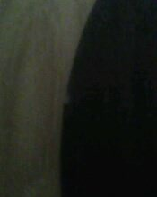 ����ȫ�µ�08������С����