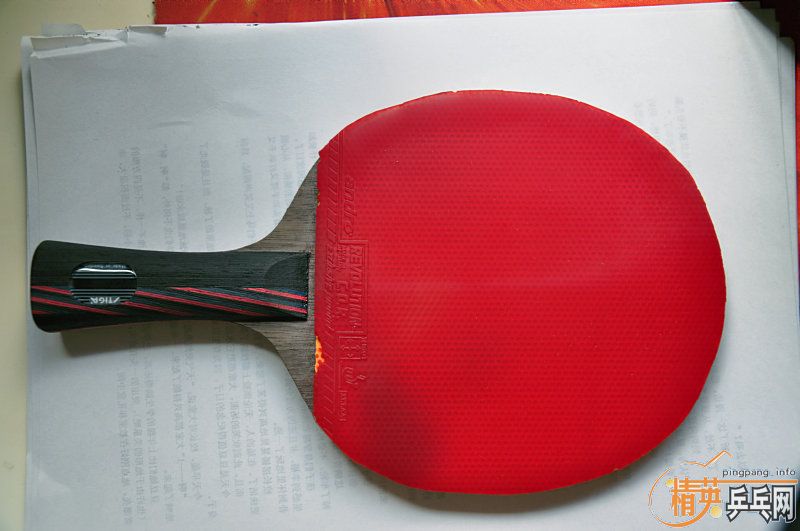 ���л����̼���ͽ��ף�