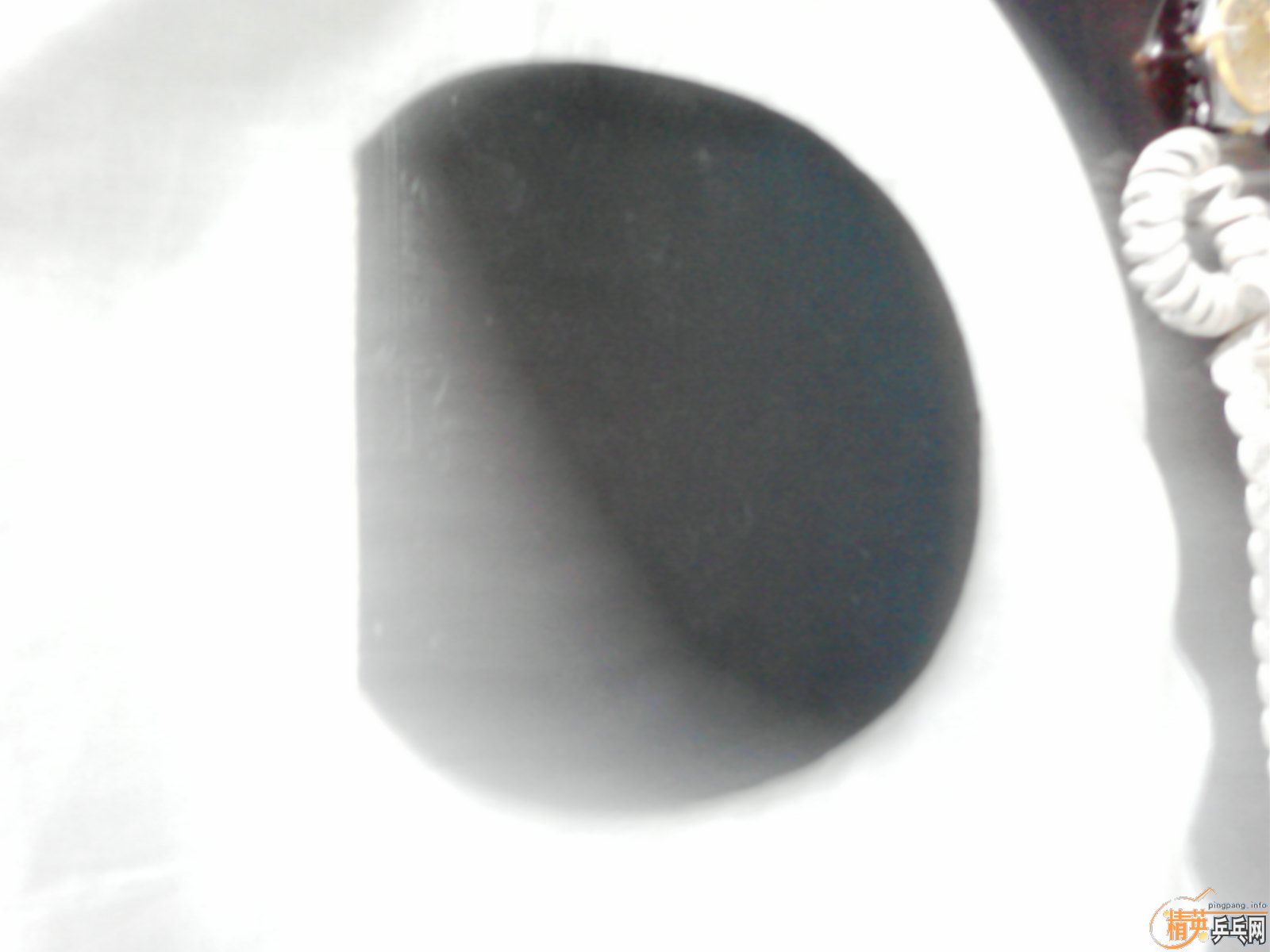 ���ų��� ��̼(ST��)�л�+ԭ�����EL�׽�һ��(��300Ԫ)