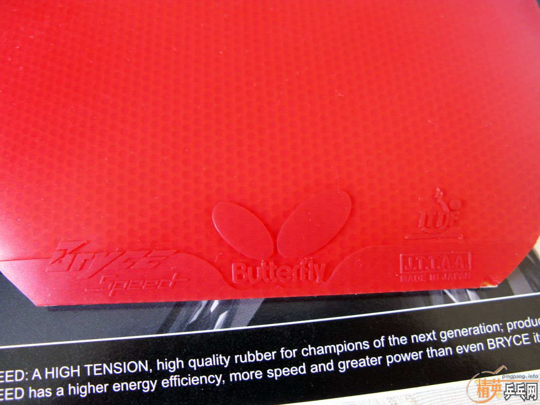 �����SPEED�����������-->yanxin270ת��