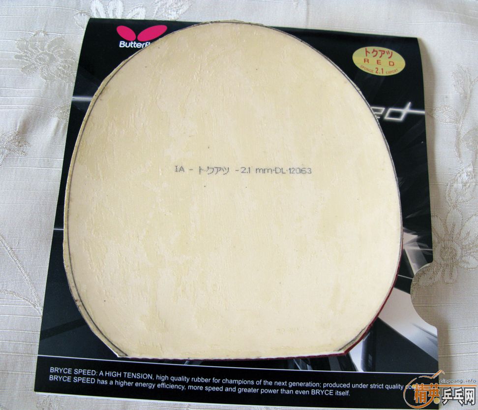 �����SPEED�����������-->yanxin270ת��