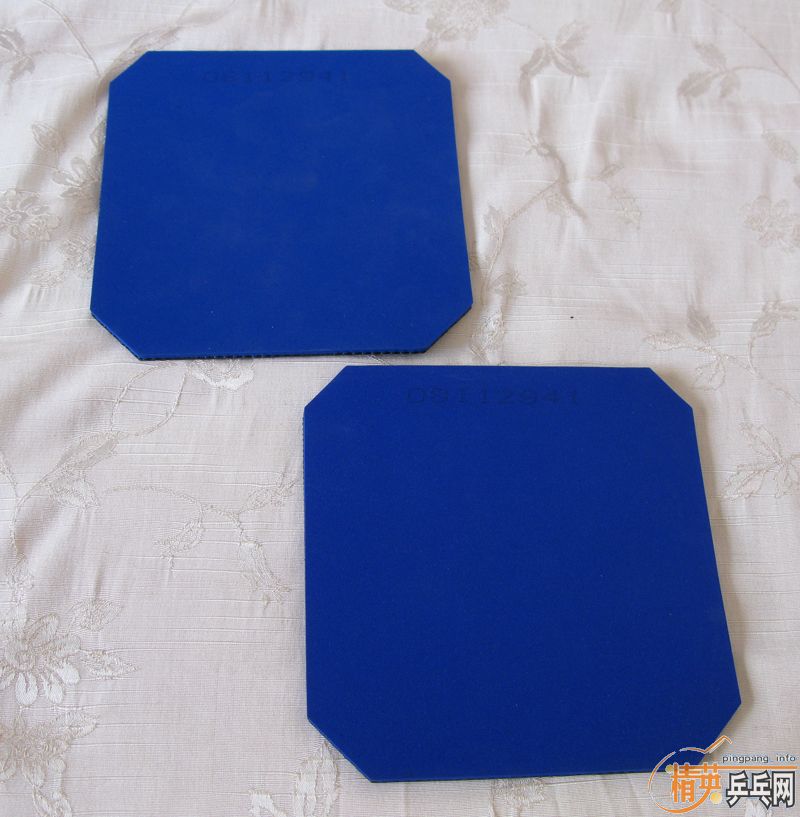 �����SPEED�����������-->yanxin270ת��