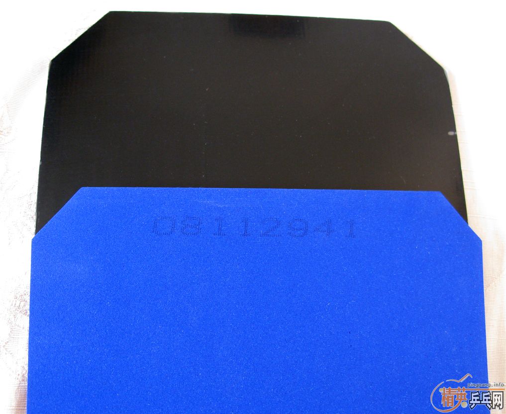 �����SPEED�����������-->yanxin270ת��