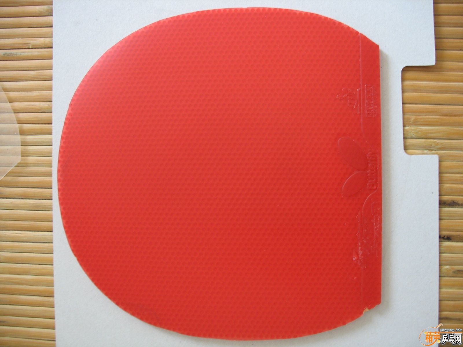 ����SPEED FX������