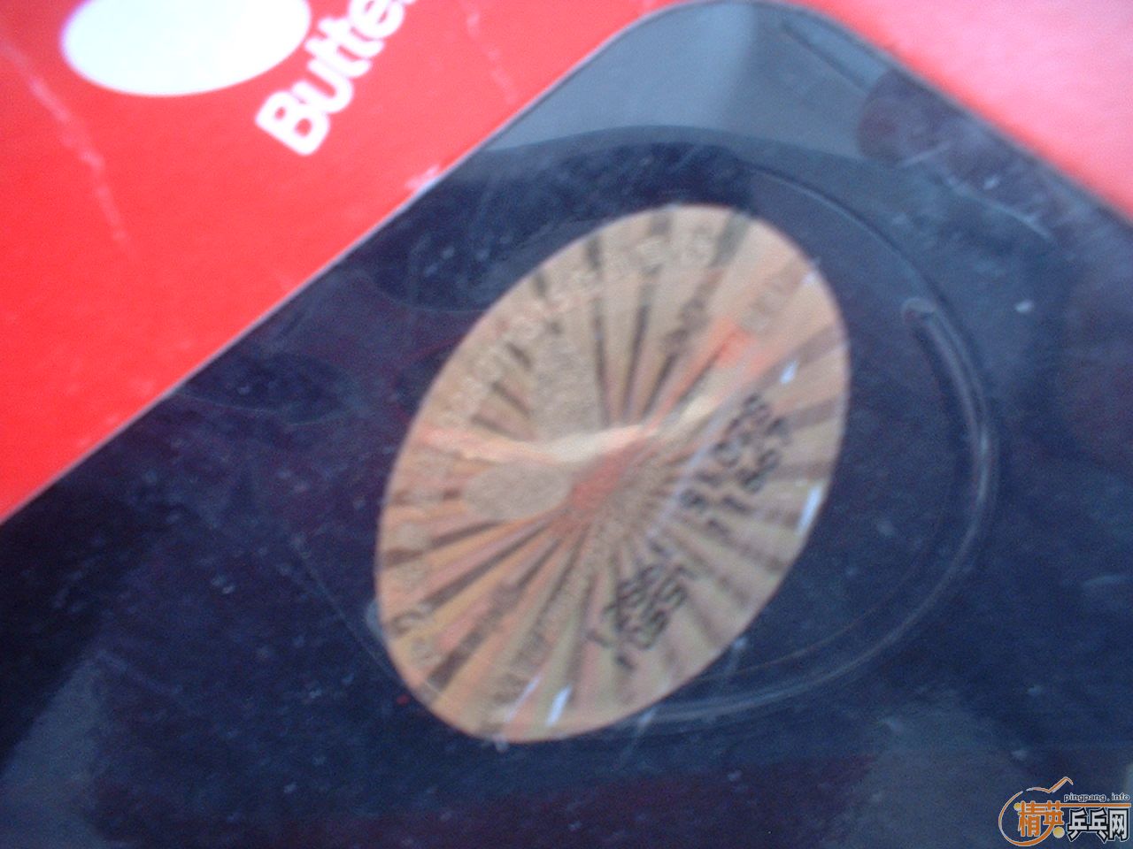 ���������ֱ 160����