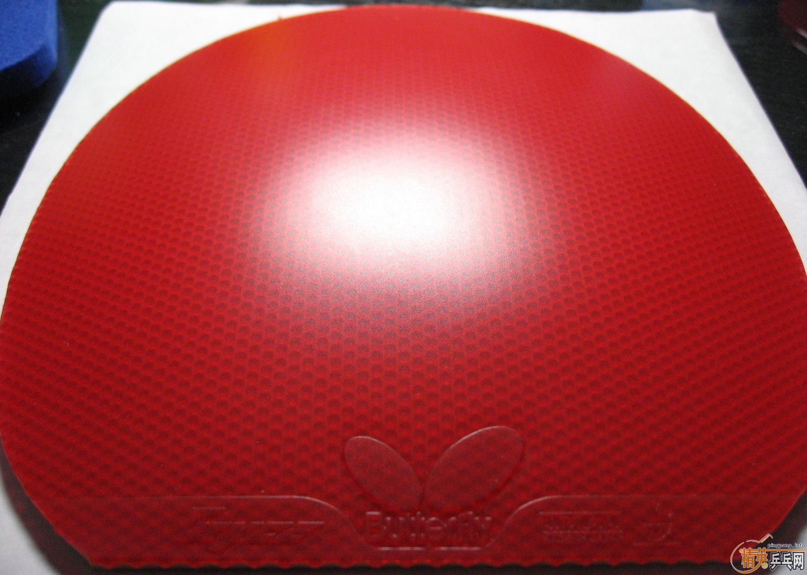 �����ֿ�̼�أ�1����FL���������鳬�´��